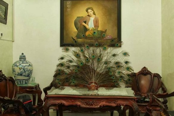 cách cắm lông công theo phong thủy