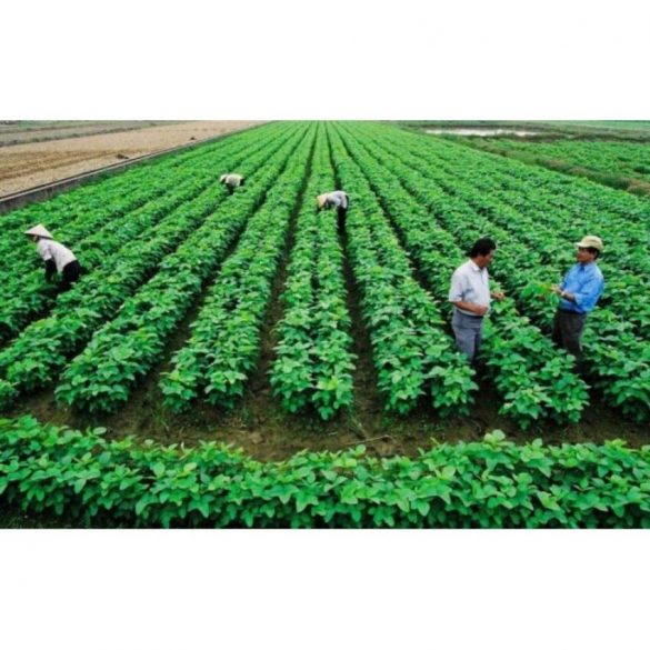 Đất ĐRM là đất gì?