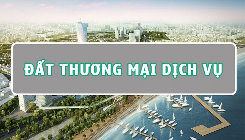 đất thương mại dịch vụ là gì