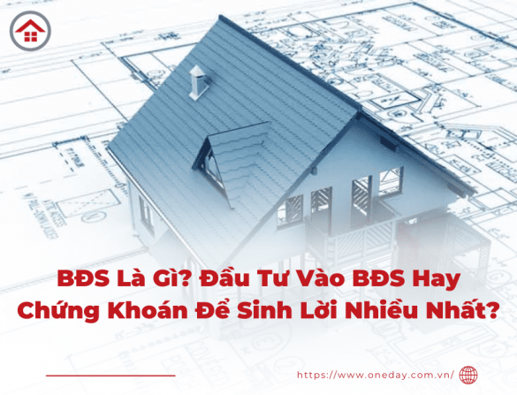 bđs là gì