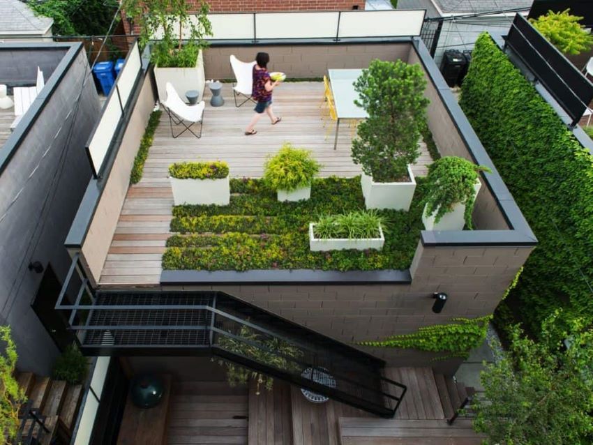 Đầu tiên, thiết kế văn phòng xanh với khu vườn mini