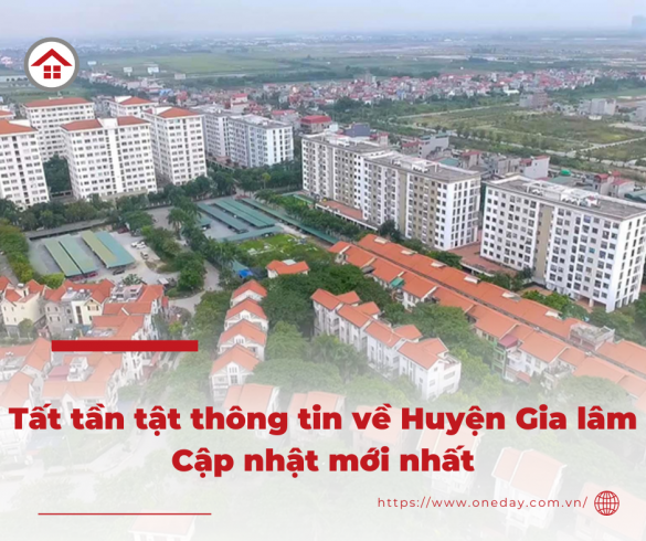 tat-tan-tat-thong-tin-ve-huyen-gia-lam-cap-nhat-moi-nhat
