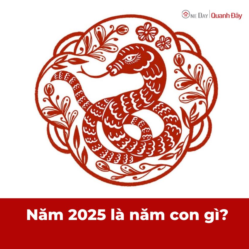 2025-la-nam-con-gi-at-ty-oneday