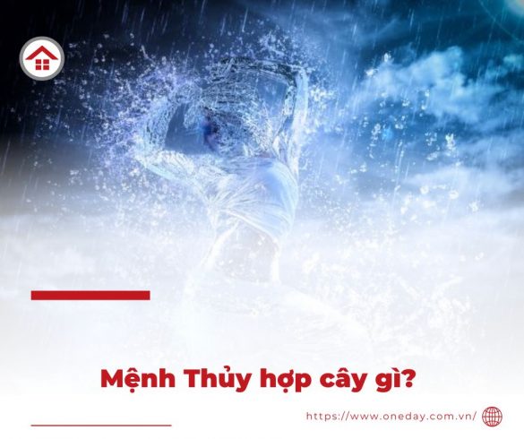 menh-thuy-hop-cay-gi-oneday
