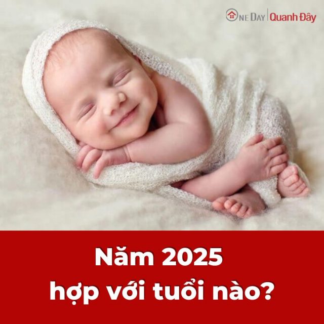 2025 Là Năm Con Gì? Mệnh Gì? Hợp Với Bố Mẹ Tuổi Gì - OneDay