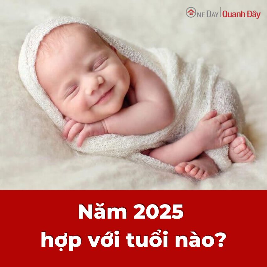 nam-2025-hop-voi-tuoi-nao-oneday-1