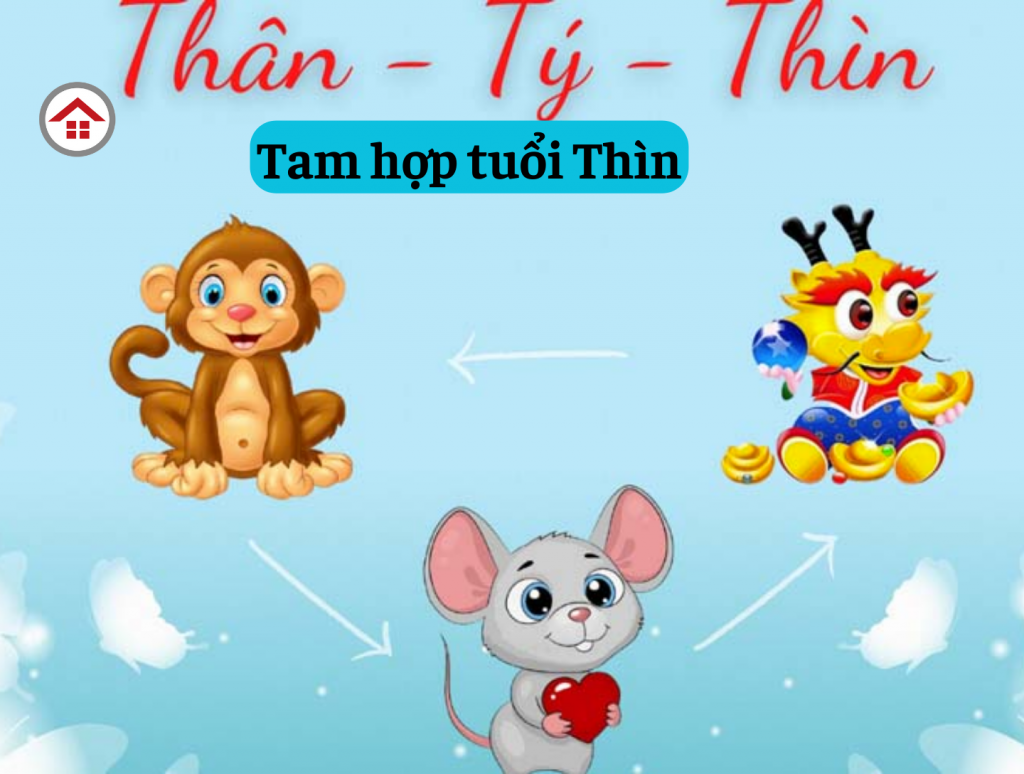 tam-hop-tuoi-thin-oneday