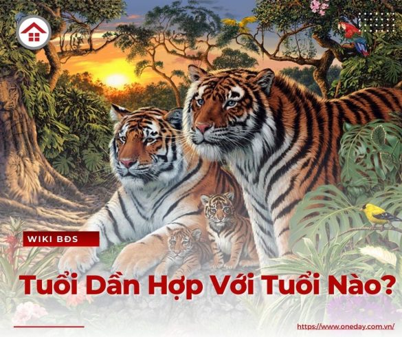 tuoi-dan-hop-voi-tuoi-nao-oneday