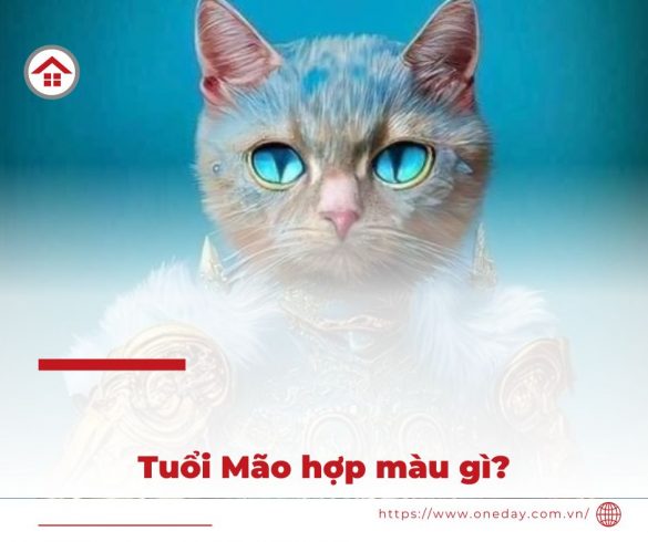 tuoi-mao-hop-mau-gi-oneday