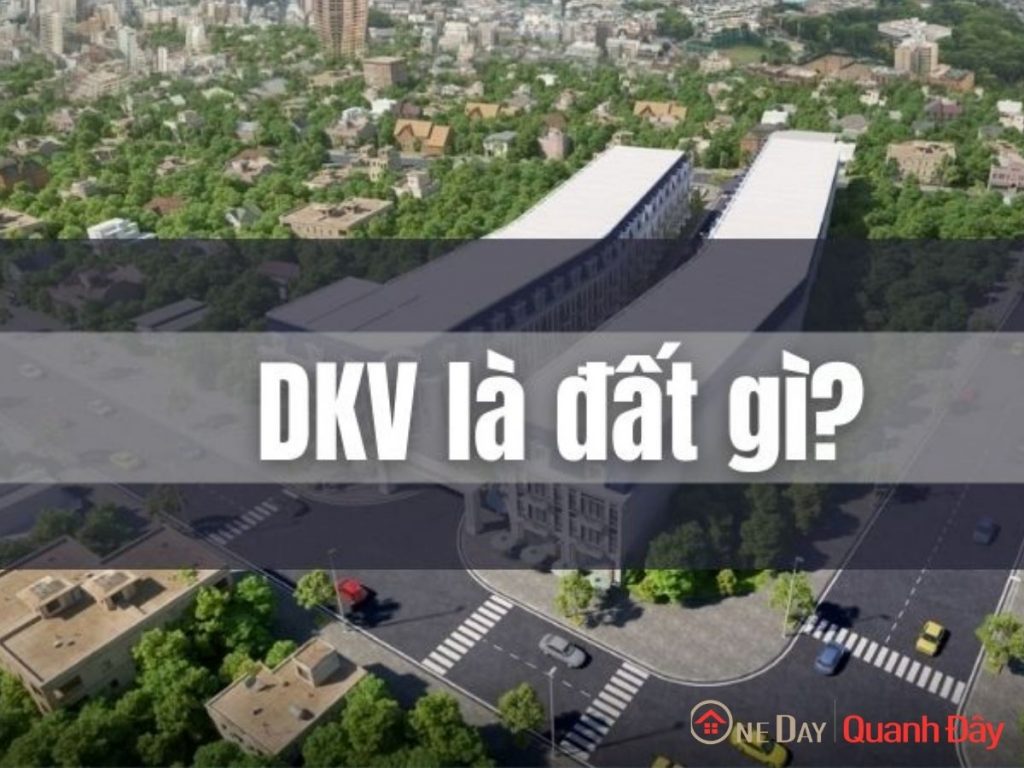 dat-dkv-la-gi-oneday