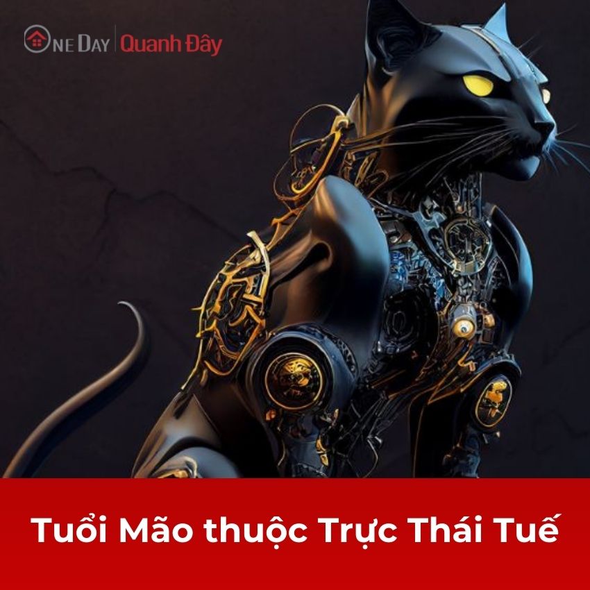 tuoi-mao-thuoc-truc-thai-tue-oneday