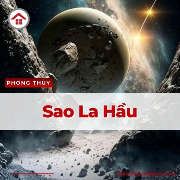 sao-la-hau-oneday