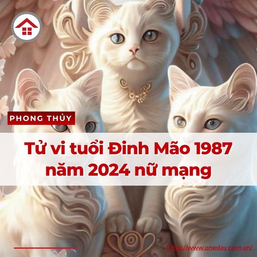 Tử Vi Tuổi Đinh Mão 1987 Năm 2024 Nữ Mạng Tốt hay Xấu OneDay