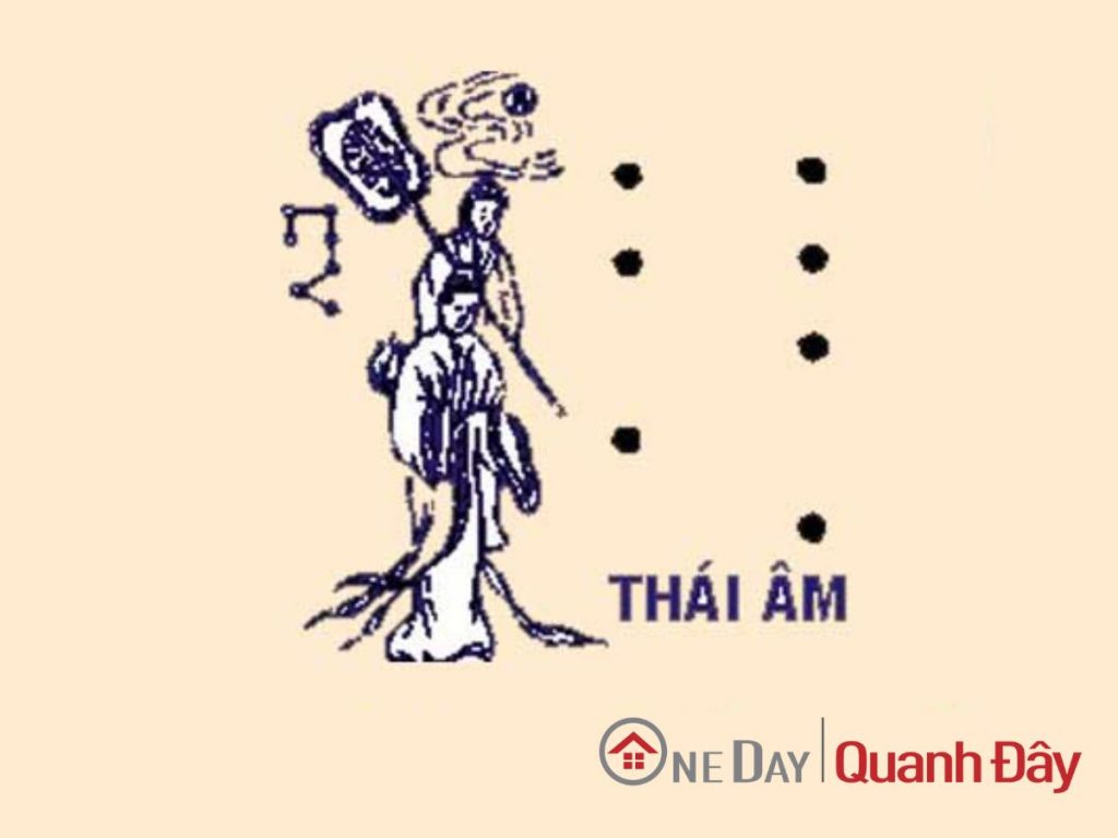 sao-thai-am-oneday