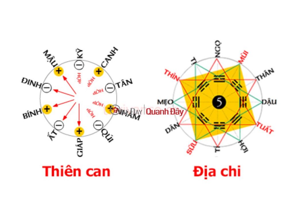 thien-can-dia-chi-one-day-1