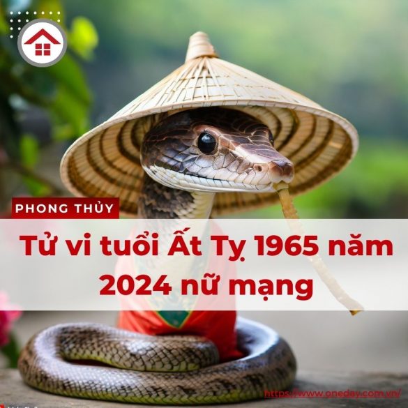 tu-vi-at-ty-1965-nam-2024-nu-mang-oneday
