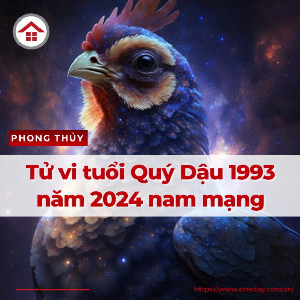 tu-vi-tuoi-quy-dau-1993-nam-2024-nam-mang