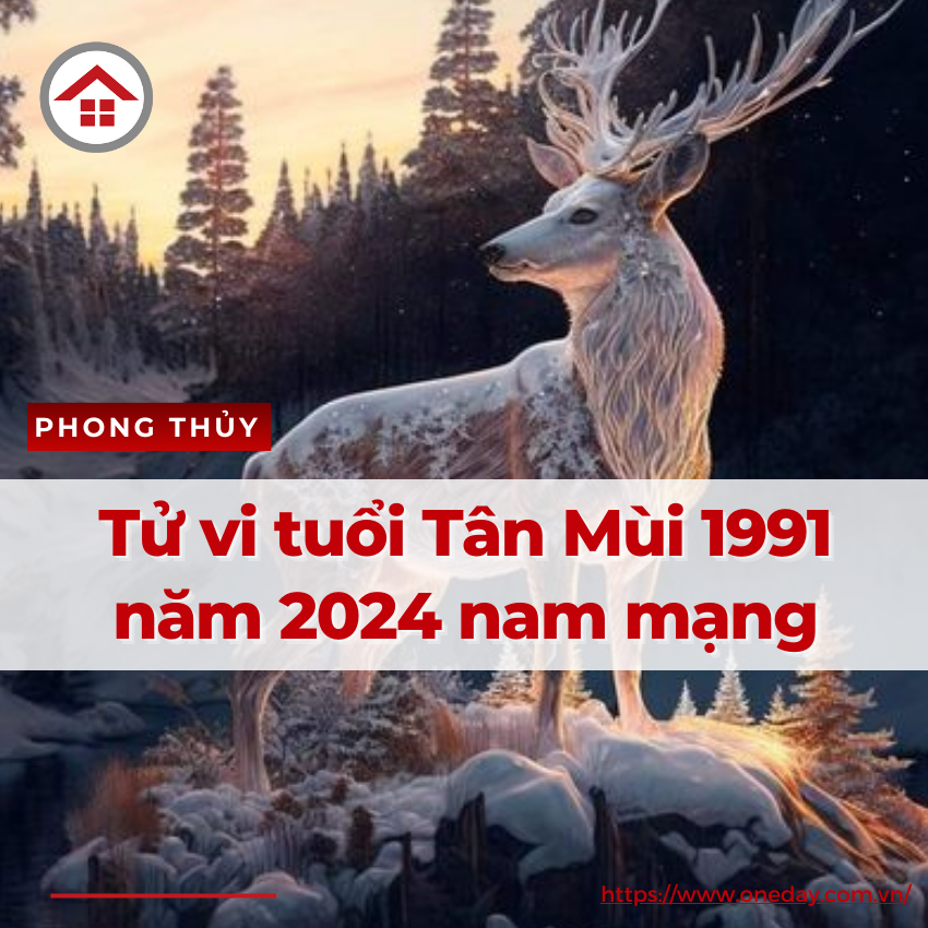 Tử Vi Tuổi Tân Mùi 1991 Năm 2024 Nam Mạng Khó Khăn, Trở Ngại