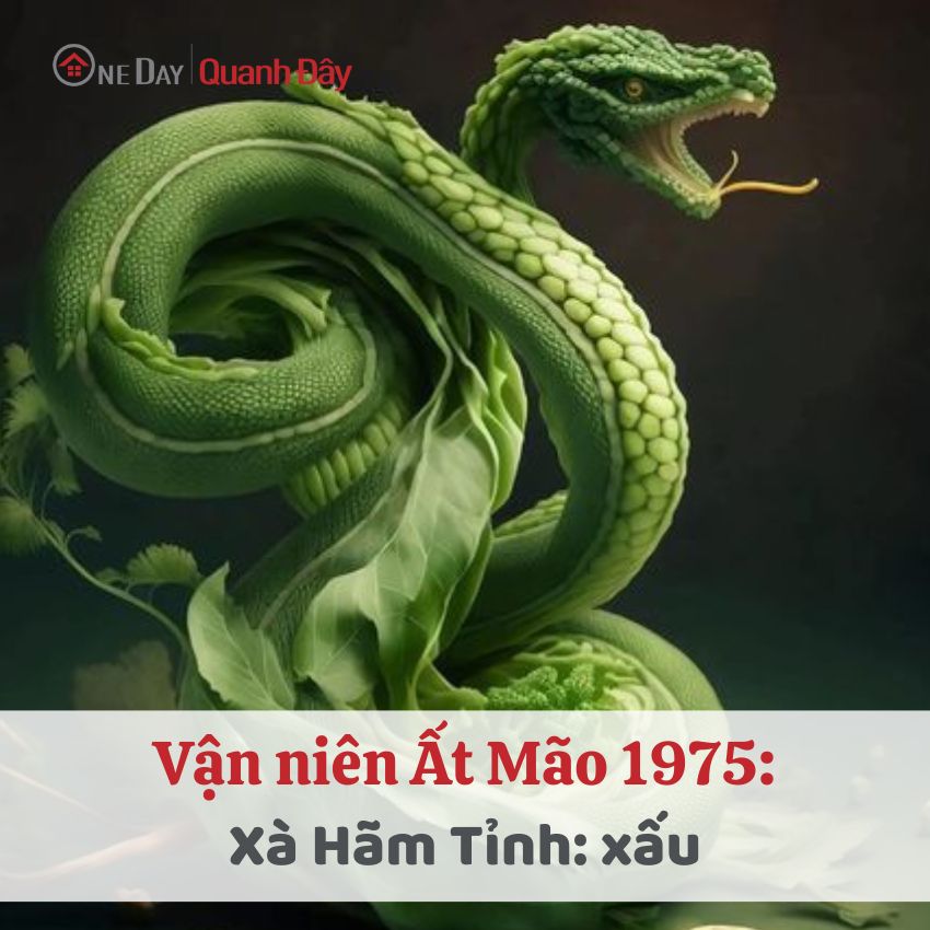 vận-nien