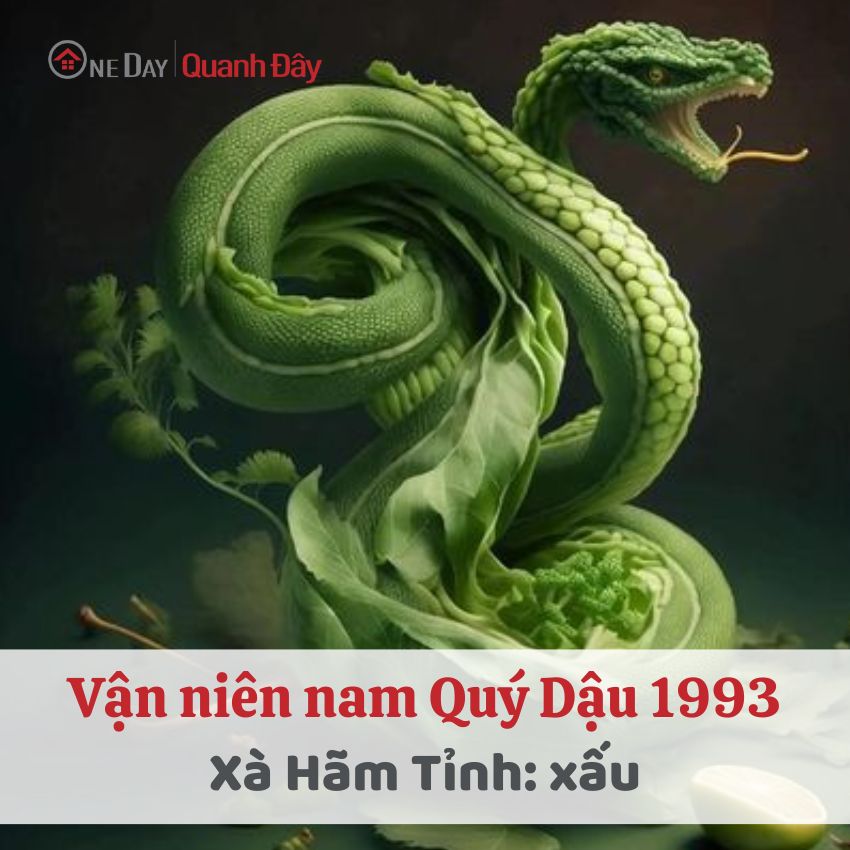 Tử Vi Tuổi Quý Dậu 1993 Năm 2024 Nam Mạng Sự Nghiệp Khởi Sắc