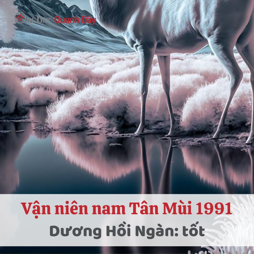 van-nien-tan-mui-1991