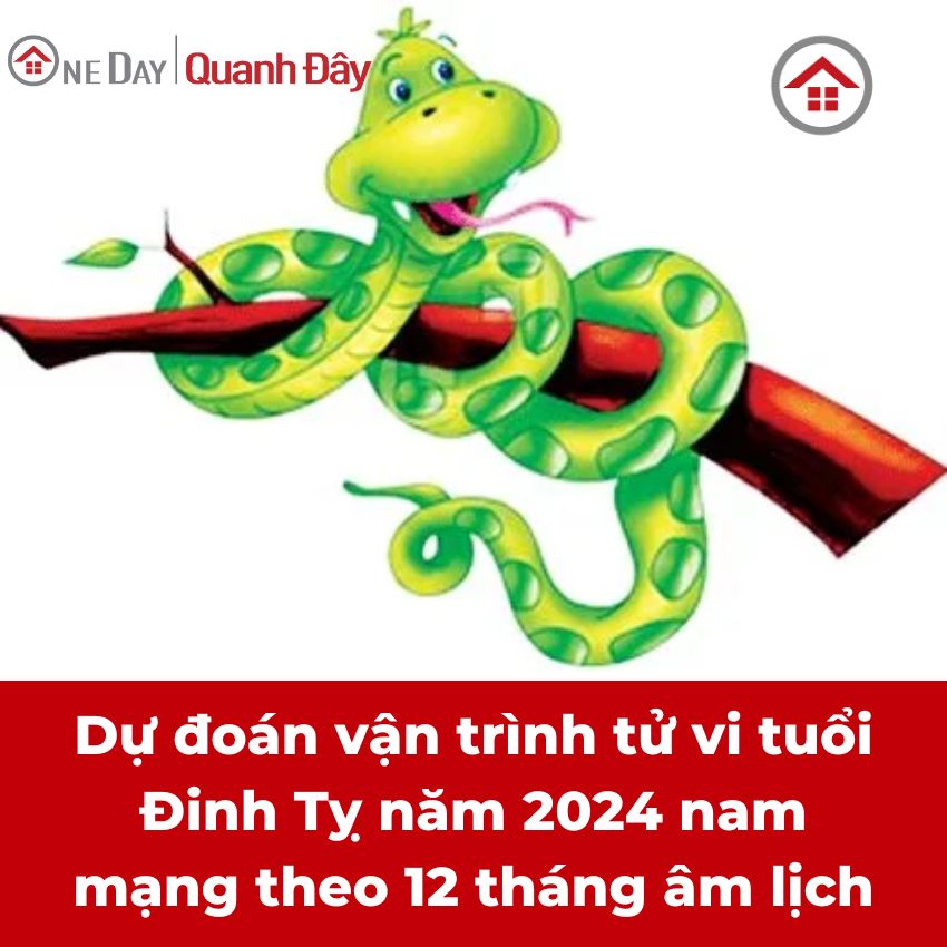 Tử Vi Tuổi Đinh Tỵ 1977 Năm 2024 Nam Mạng Cơ Hội Hay Thách Thức