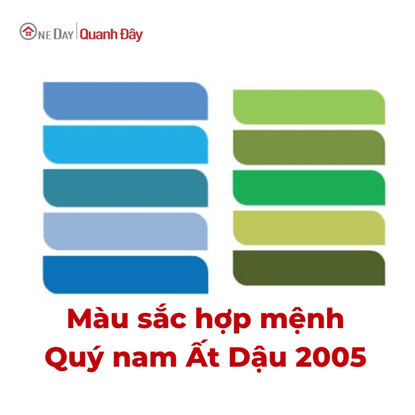 mau-hop-menh-nam-2005
