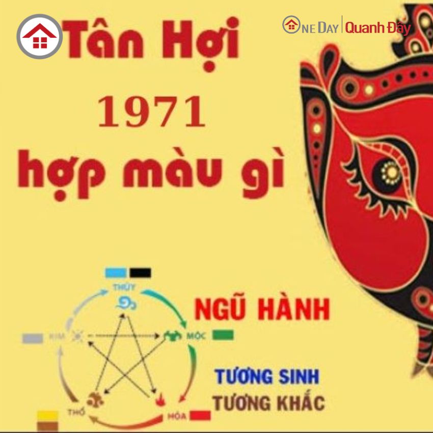 mau-sac-phong-thuy-tan-hoi-1971-hop