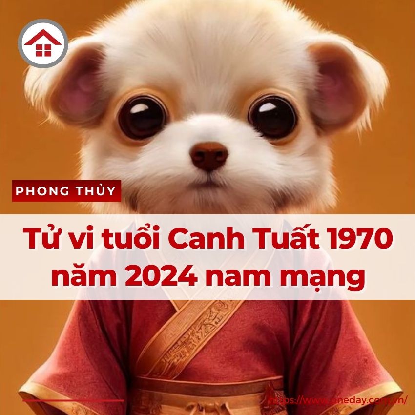 Tử Vi Tuổi Canh Tuất 1970 Năm 2024 Nam Mạng Không Quá Biến Động