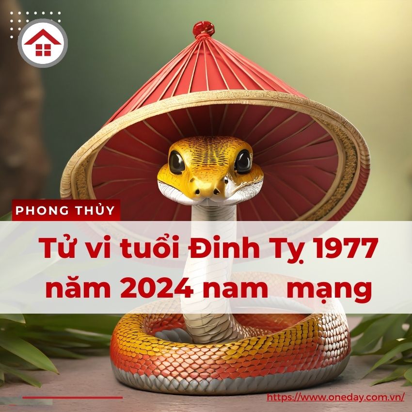 Tử Vi Tuổi Đinh Tỵ 1977 Năm 2024 Nam Mạng Cơ Hội Hay Thách Thức