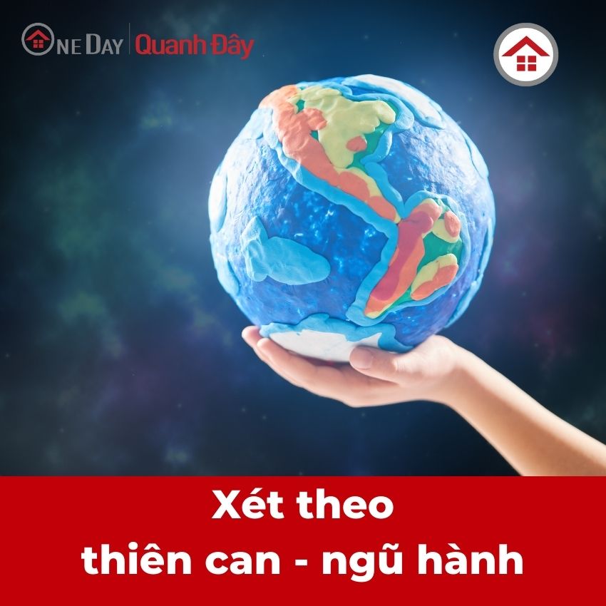 tu-vi-tuoi-dinh-ty-1977-nam-2024-nam-mang-theo-thien-can-ngu-hanh-oneday