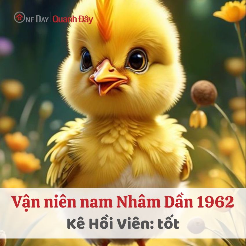 van-nien-1962-nam-mang-nam-2024