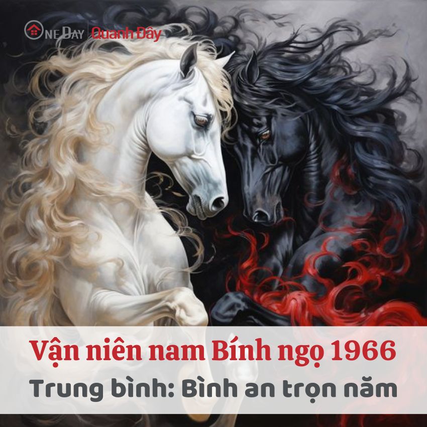 van-nien-1966-nam-mang-nam-2024