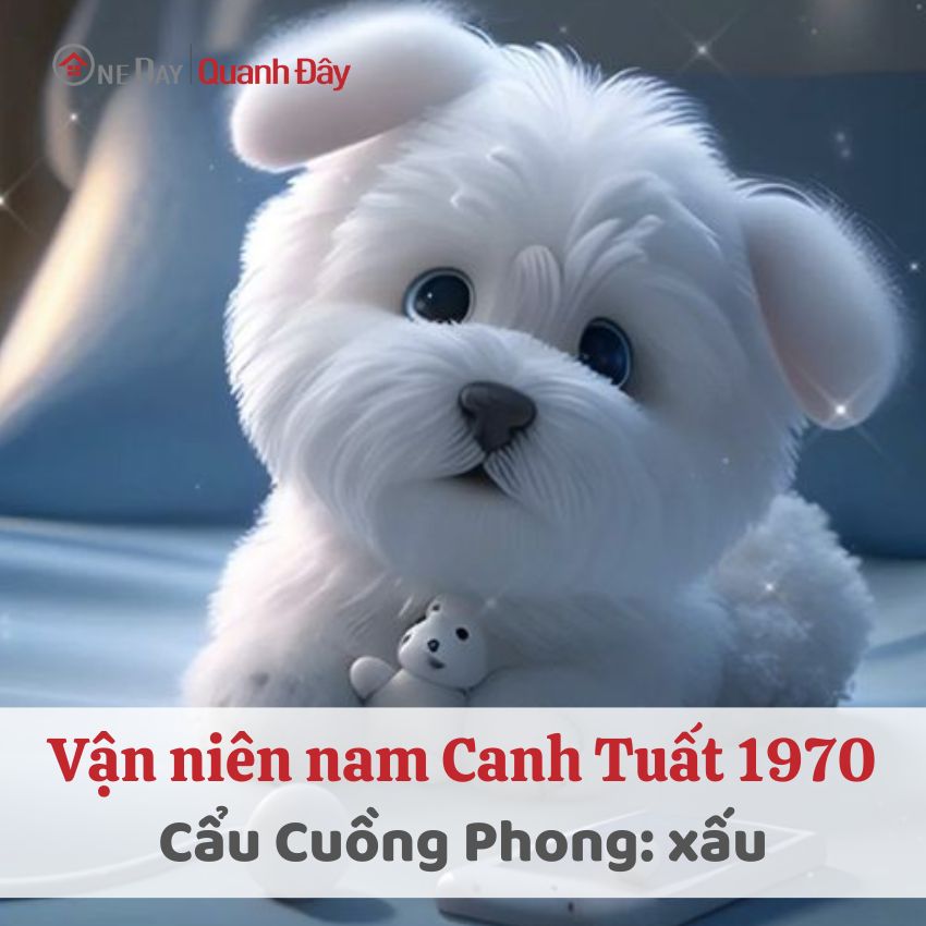 van-nien-1970-nam-mang-nam-2024