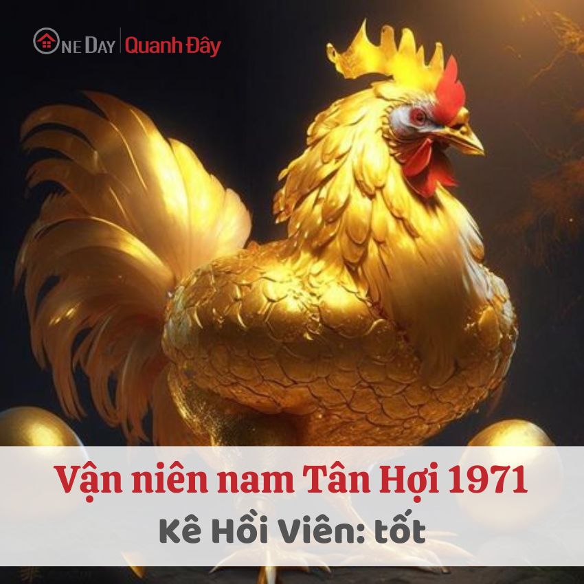 van-nien-1971-nam-mang-nam-2024