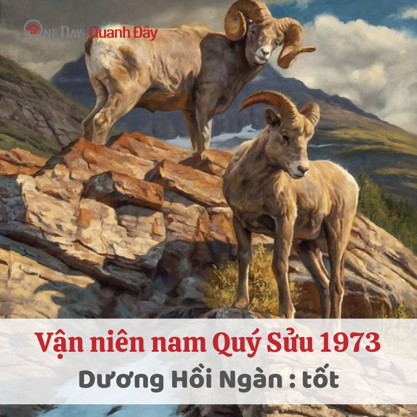 van-nien-1973-nam-mang-nam-2024