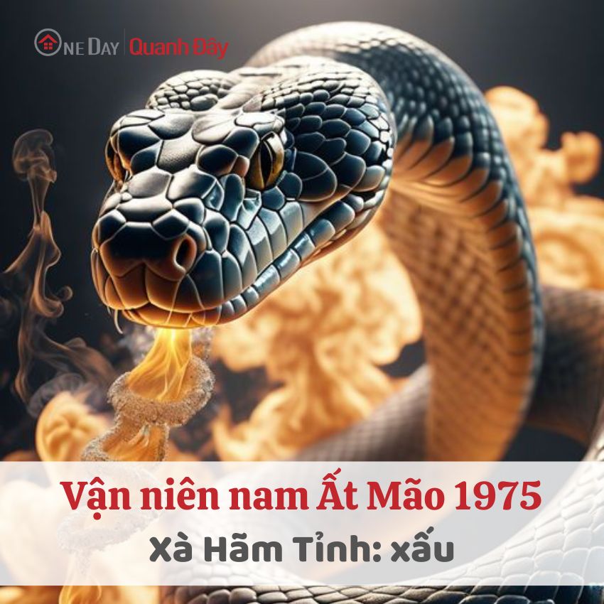 van-nien-1975-nam-mang-nam-2024