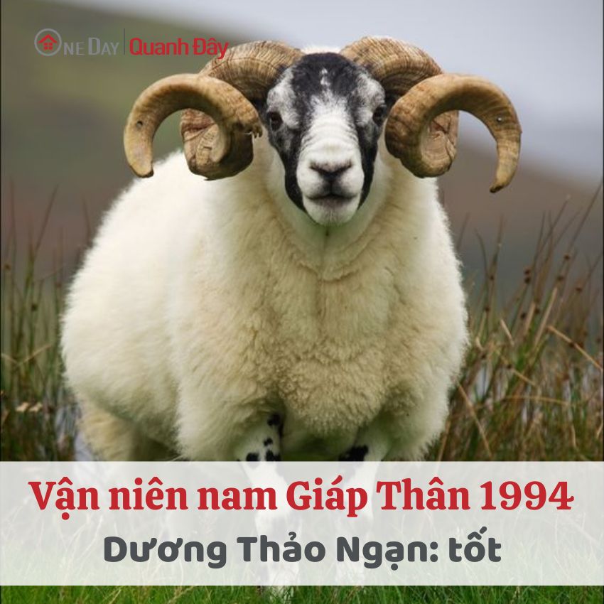 van-nien-1994-nam-mang-2024