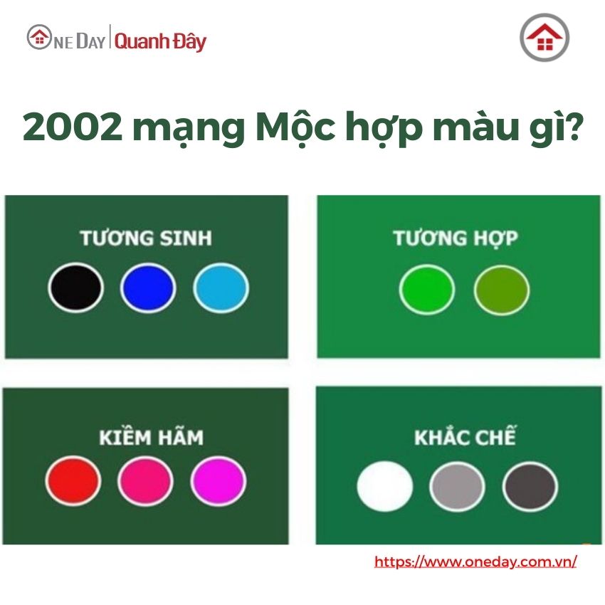 2002-mang-moc-hop-mau