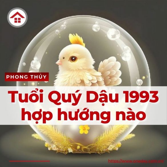 tuoi-quy-dau-1993-hop-huong-nao