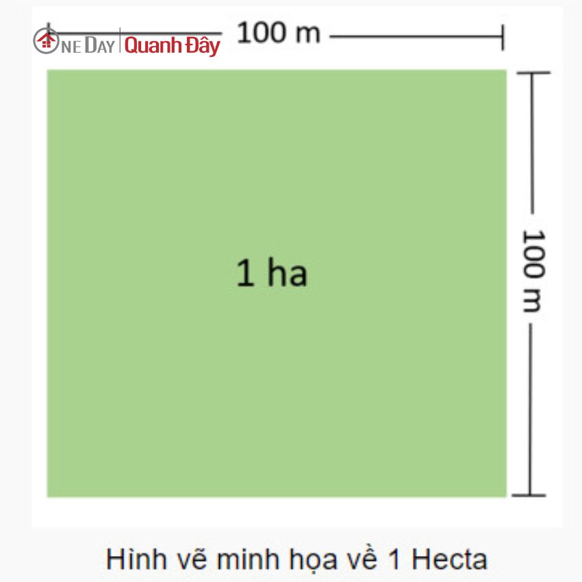 ung-dung-cua-don-vi-hecta-1-ha-bang-bao-nhieu-met-vuong