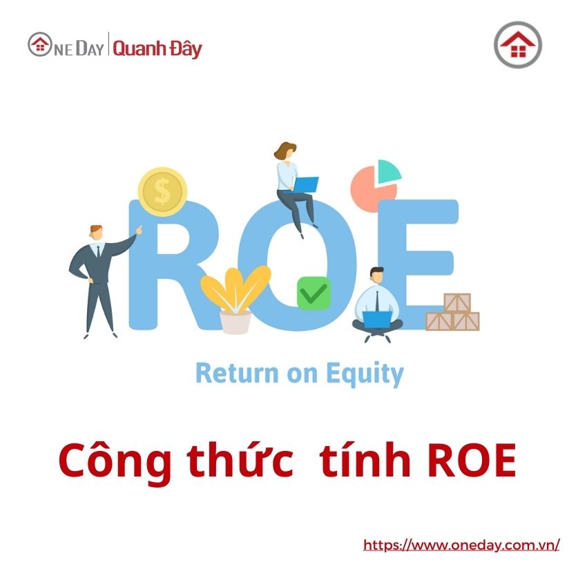 cong-thuc-tinh-roe-oneday