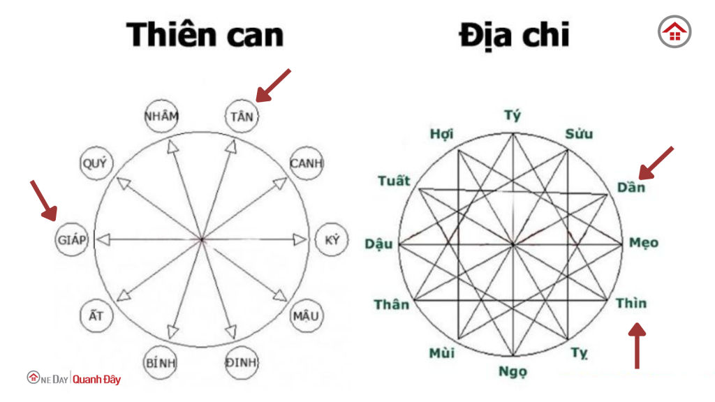 Thien-can-dia-chi-tuoi-nham-dan-nu-mang-oneday