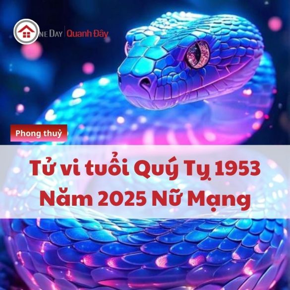 tu-vi-tuoi-quy-ty-1953-nam-2025-nu-mang