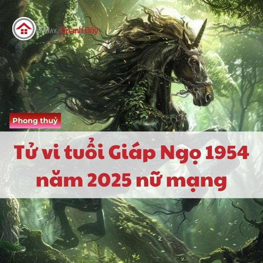 tu-vi-tuoi-giap-ngo-1954-nam-2025-nu-mang tu-vi-tuoi-giap-ngo-1954-nam-2025-nu-mang