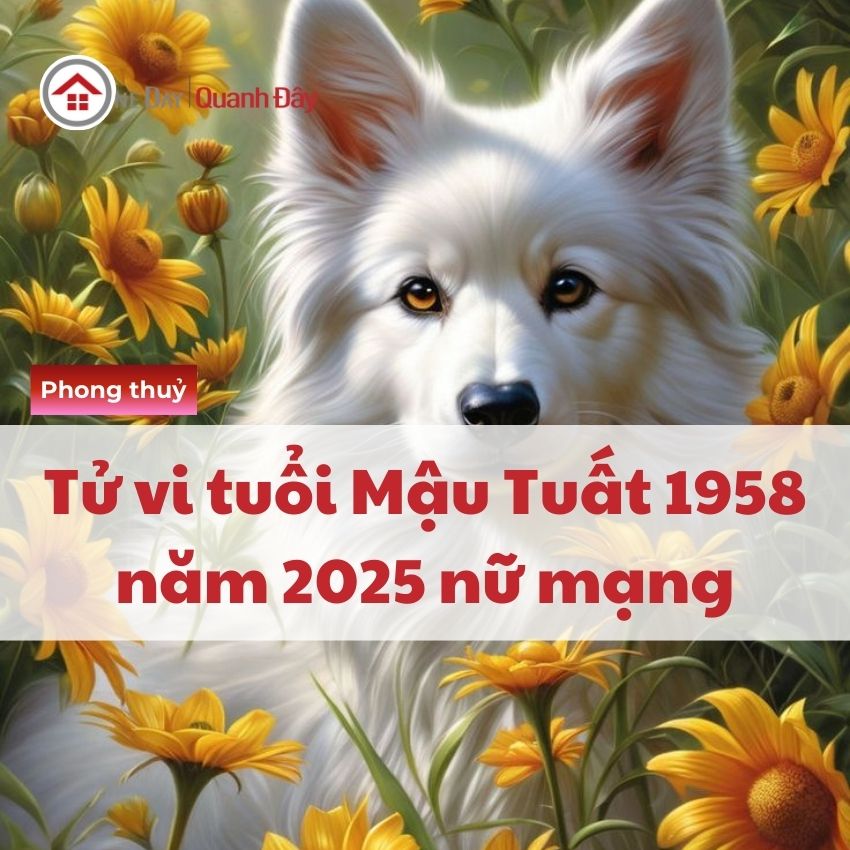 Tử Vi Tuổi Mậu Tuất 1958 Năm 2025 Nữ Mạng Hung Tinh Chiếu Mệnh