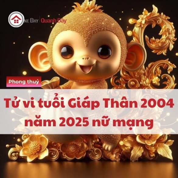 tu-vi-tuoi-giap-than-2004-nam-2025-nu-mang