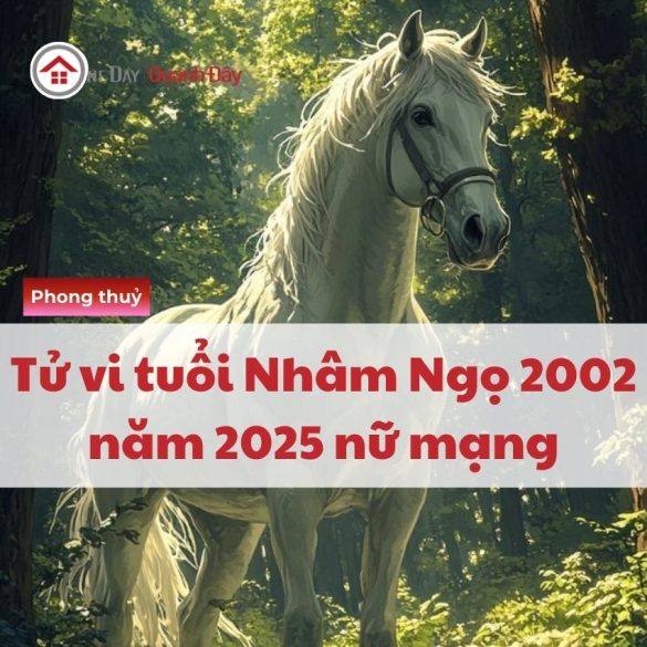 tu-vi-tuoi-nham-ngo-2002-nam-2025-nu-mang