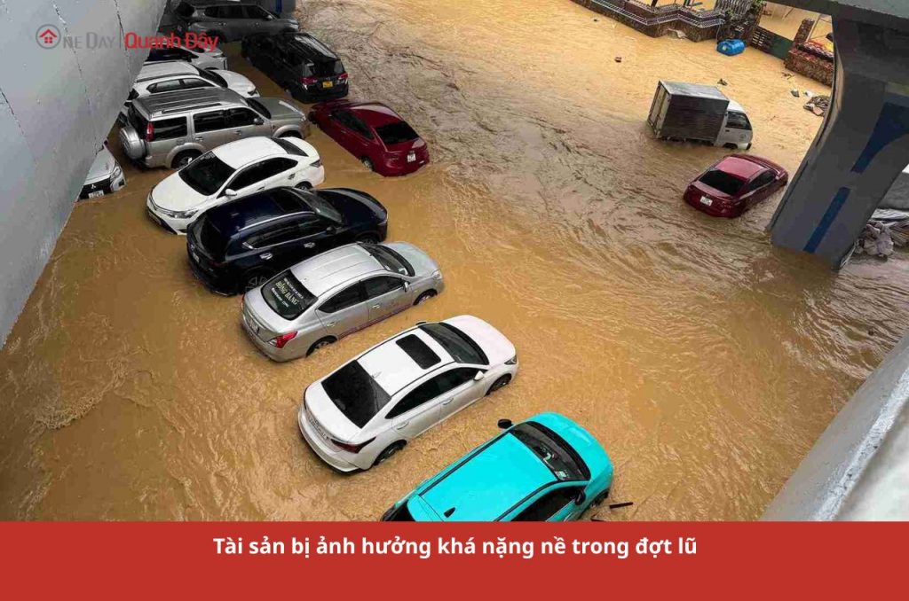 tai-san-bi-anh-huong-kha-nang-ne-trong-dot-lu