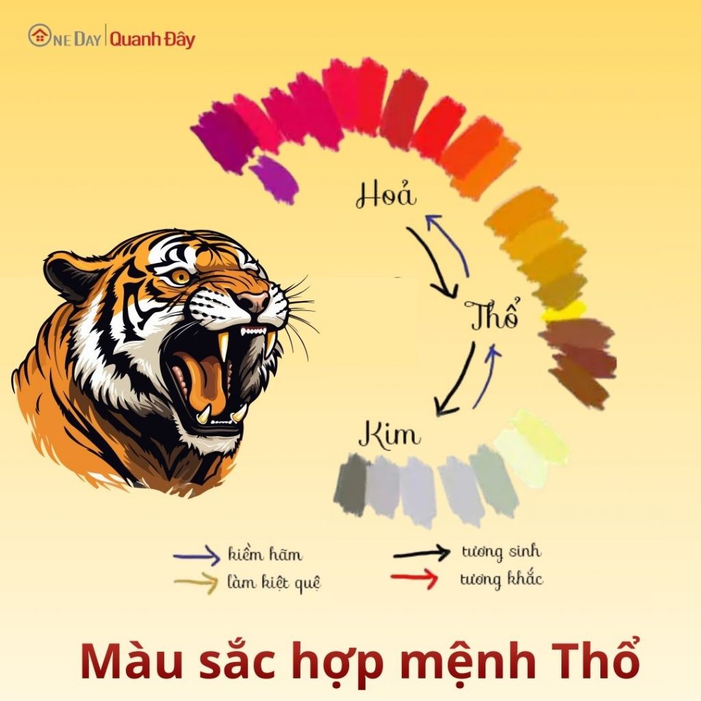 Mau-sac-hop-menh-tho-sinh-nam-1998-oneday